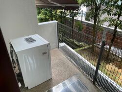 Radiance @ Bukit Timah (D21), Terrace #474723741